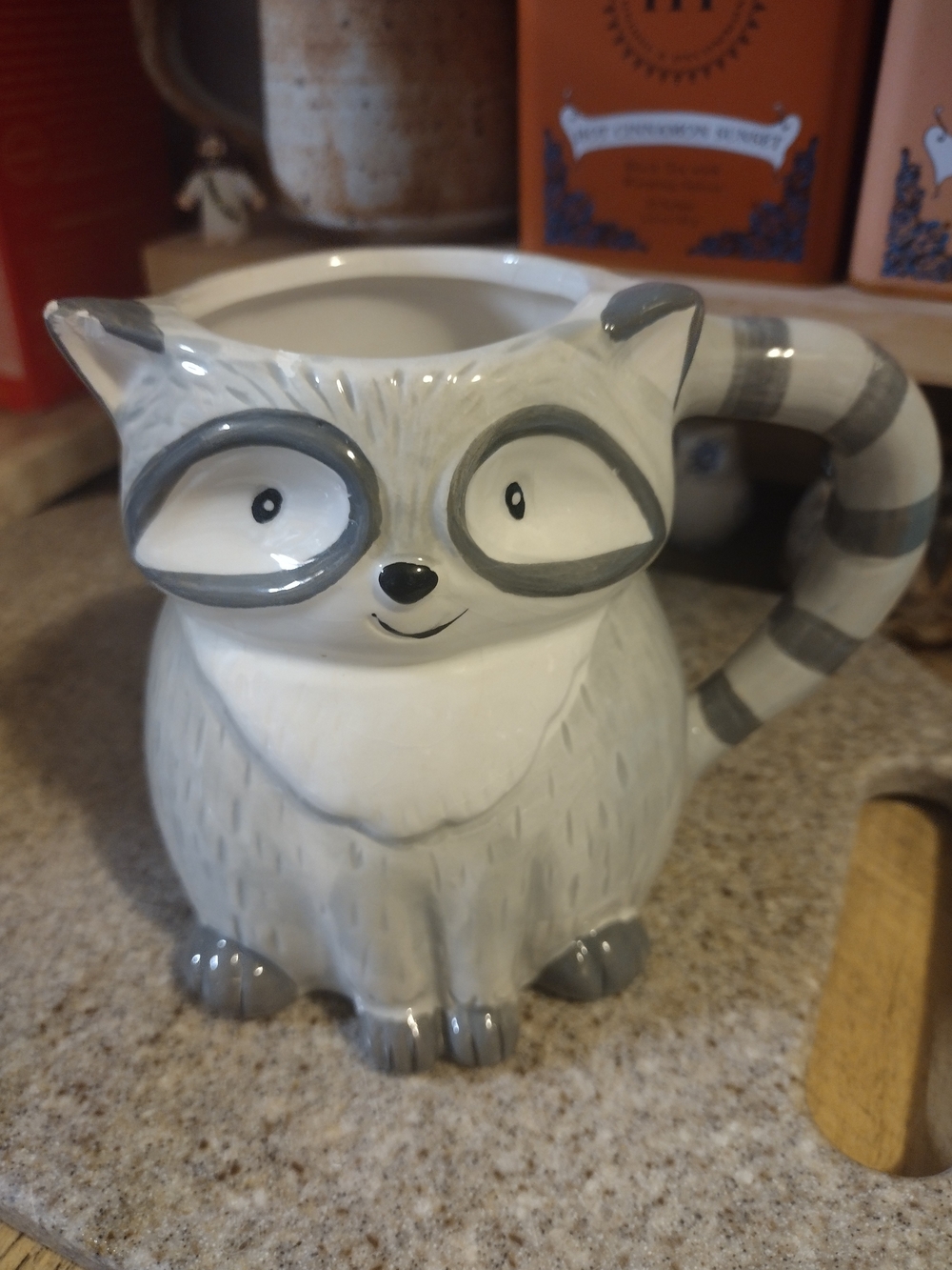 Cost Plus World Market Gray and White Raccoon Ceramic Mug🦝